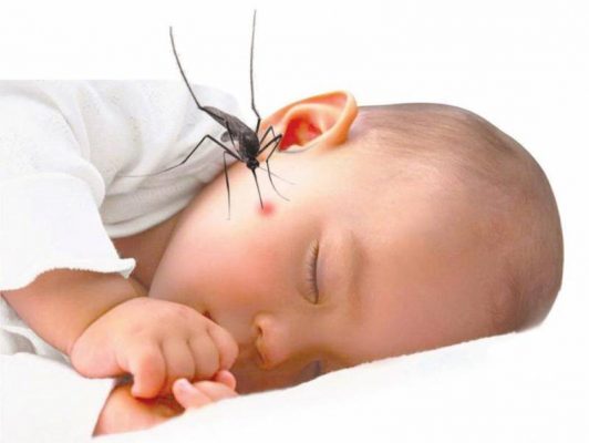Sử dụng thuốc xịt muỗi phải đảm bảo không gây hại đến sức khỏe gia đình